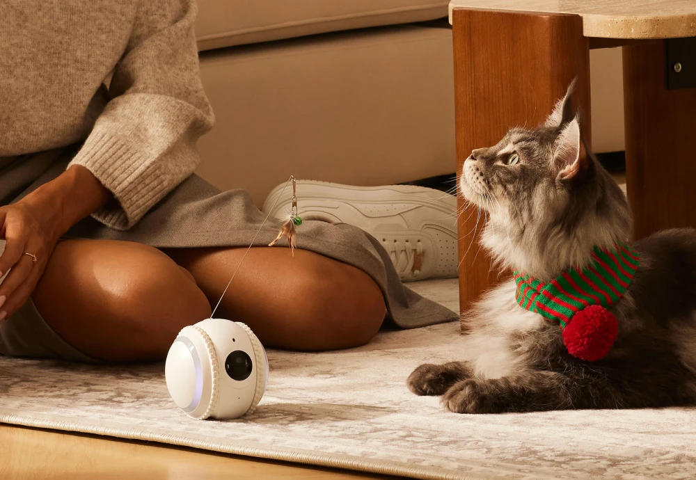 best pet cameras for cats