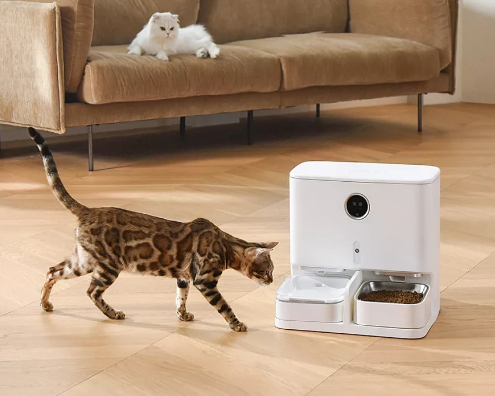 pet food automatic dispenser