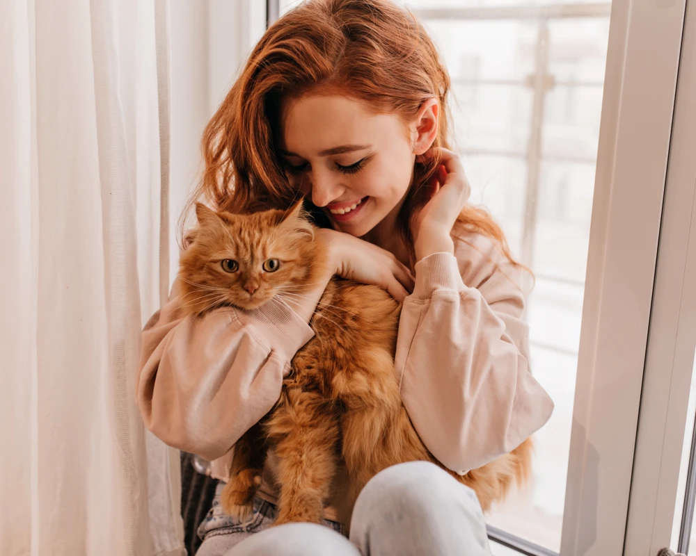 best automatic cat feeder with camera